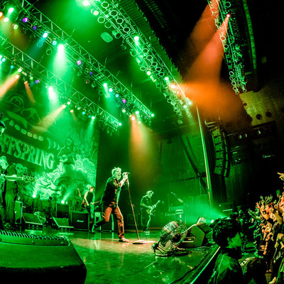 OFFSPRING170323_92.jpg OFFSPRING170323_92.jpg