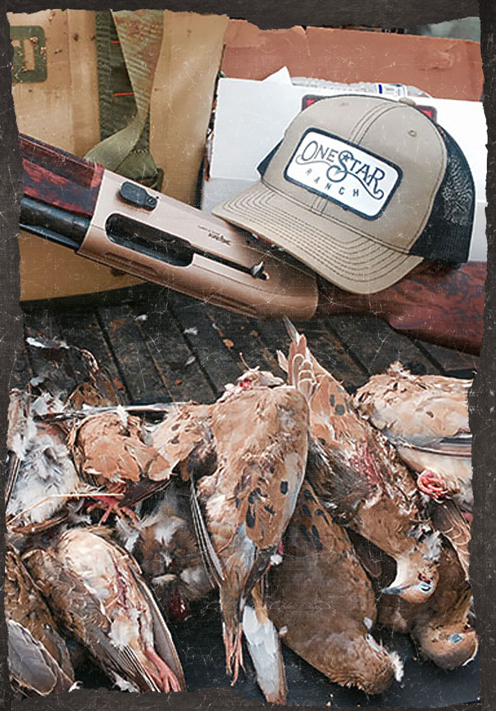 About | One Star Ranch Texas