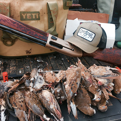Dove Season