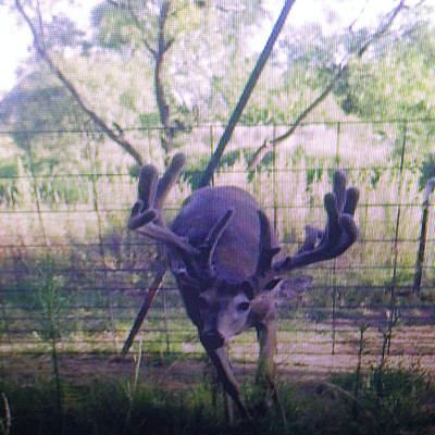 One Star Ranch Has it All! 