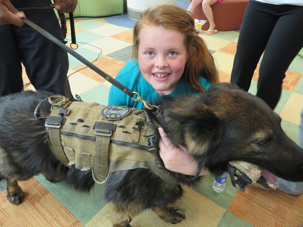 Dog Days Of Summer At Seacrest Studios Charlotte