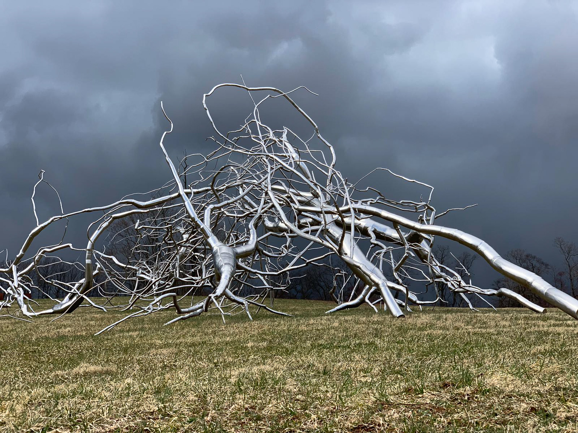 The St. Bride's Farm Collection