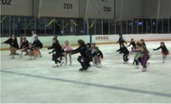 Stars on Ice Skating Party - Chicago, IL 