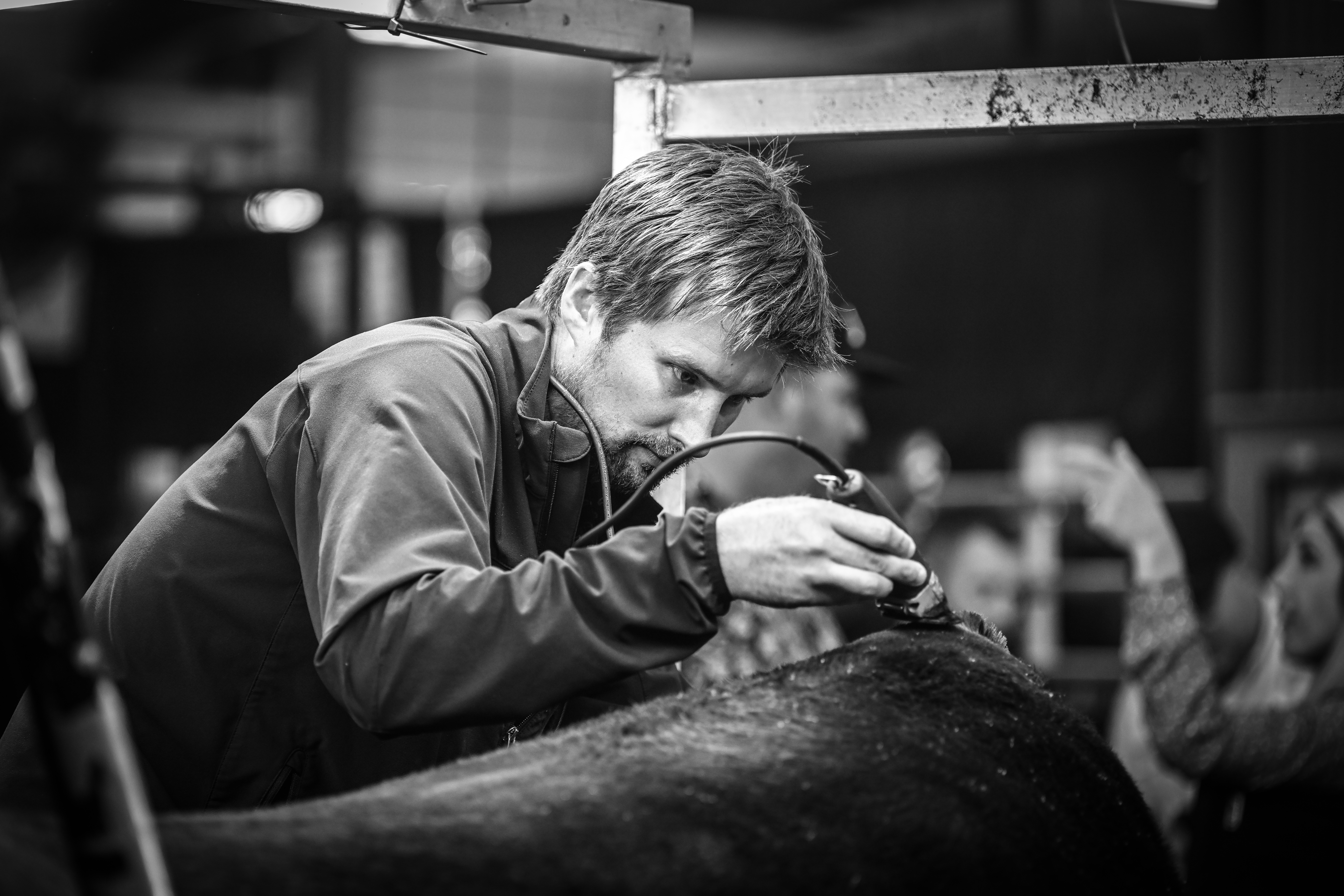 2023 Angus Guardians Show Center