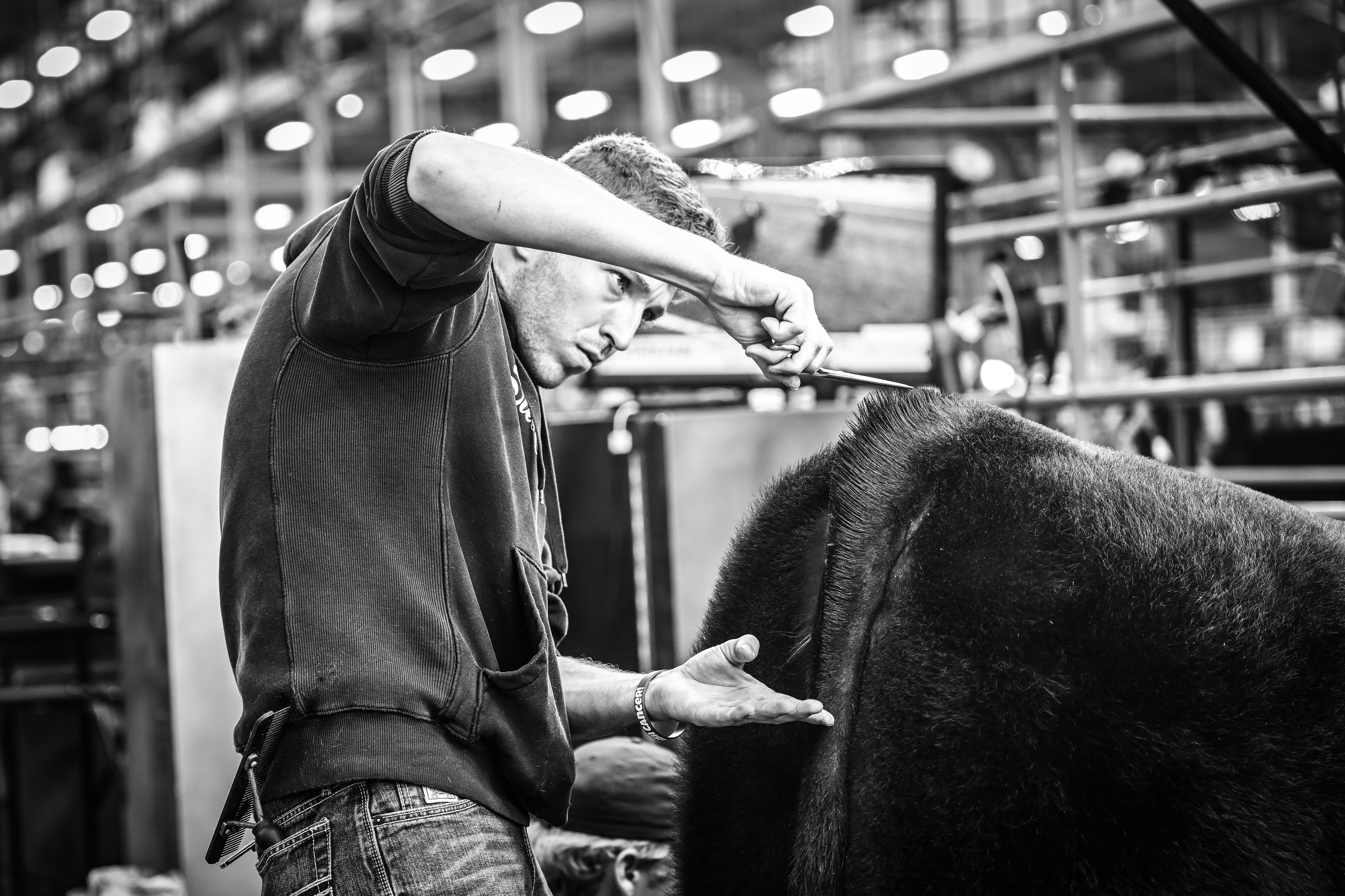 2023 Indiana State Fair Show Center