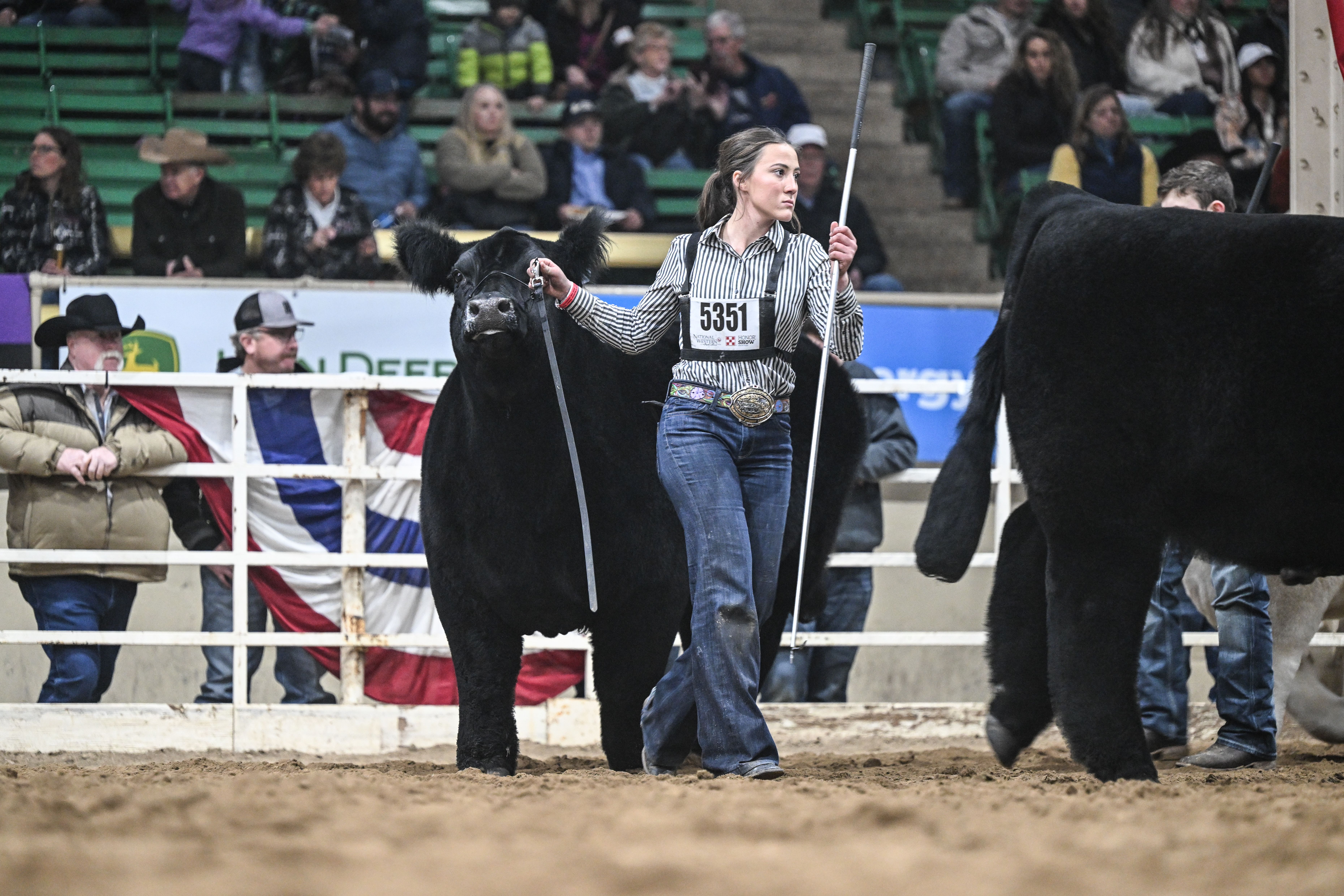 2024 NWSS Steer Show