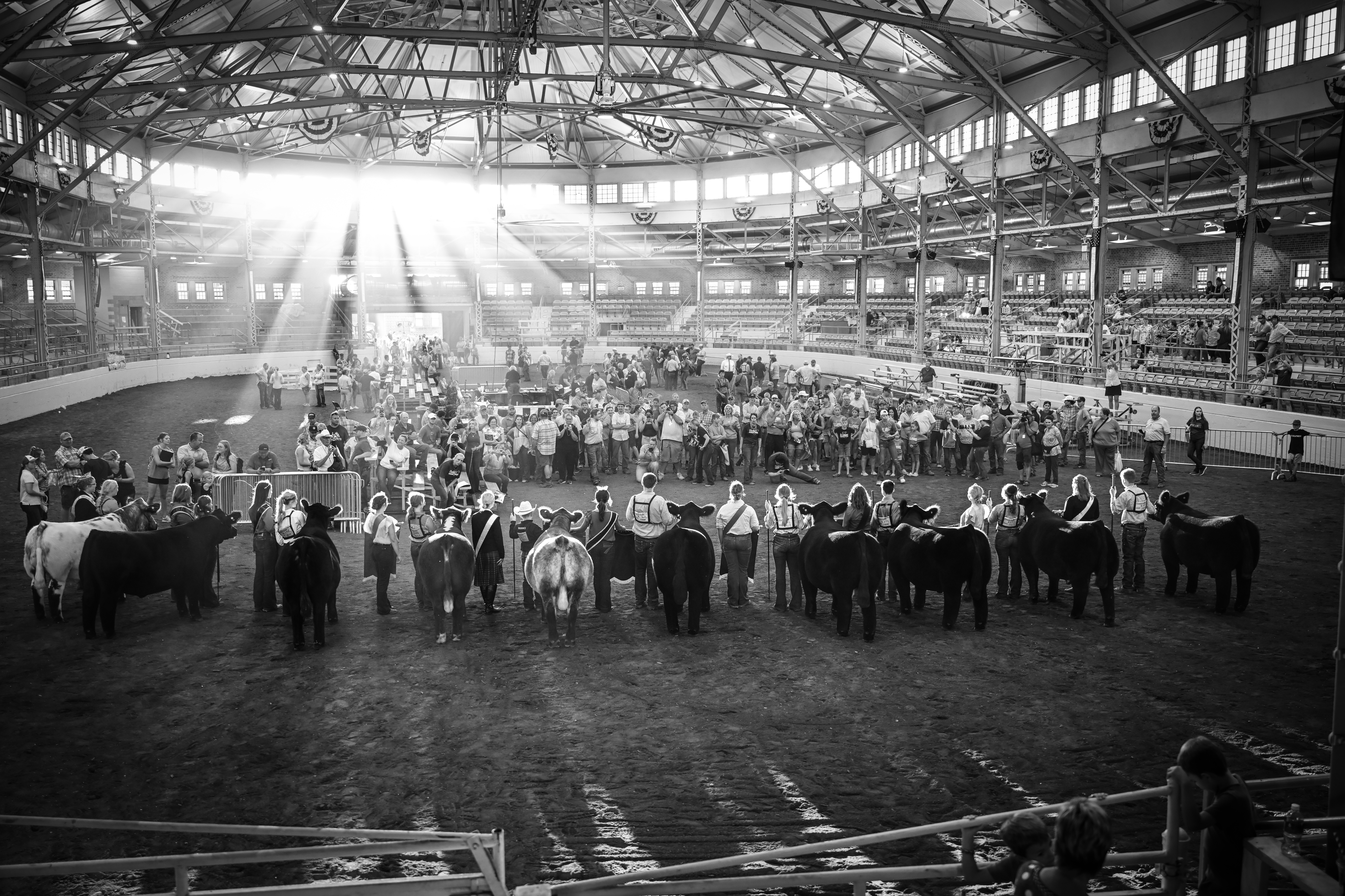 2023 Illinois State Fair Show Center