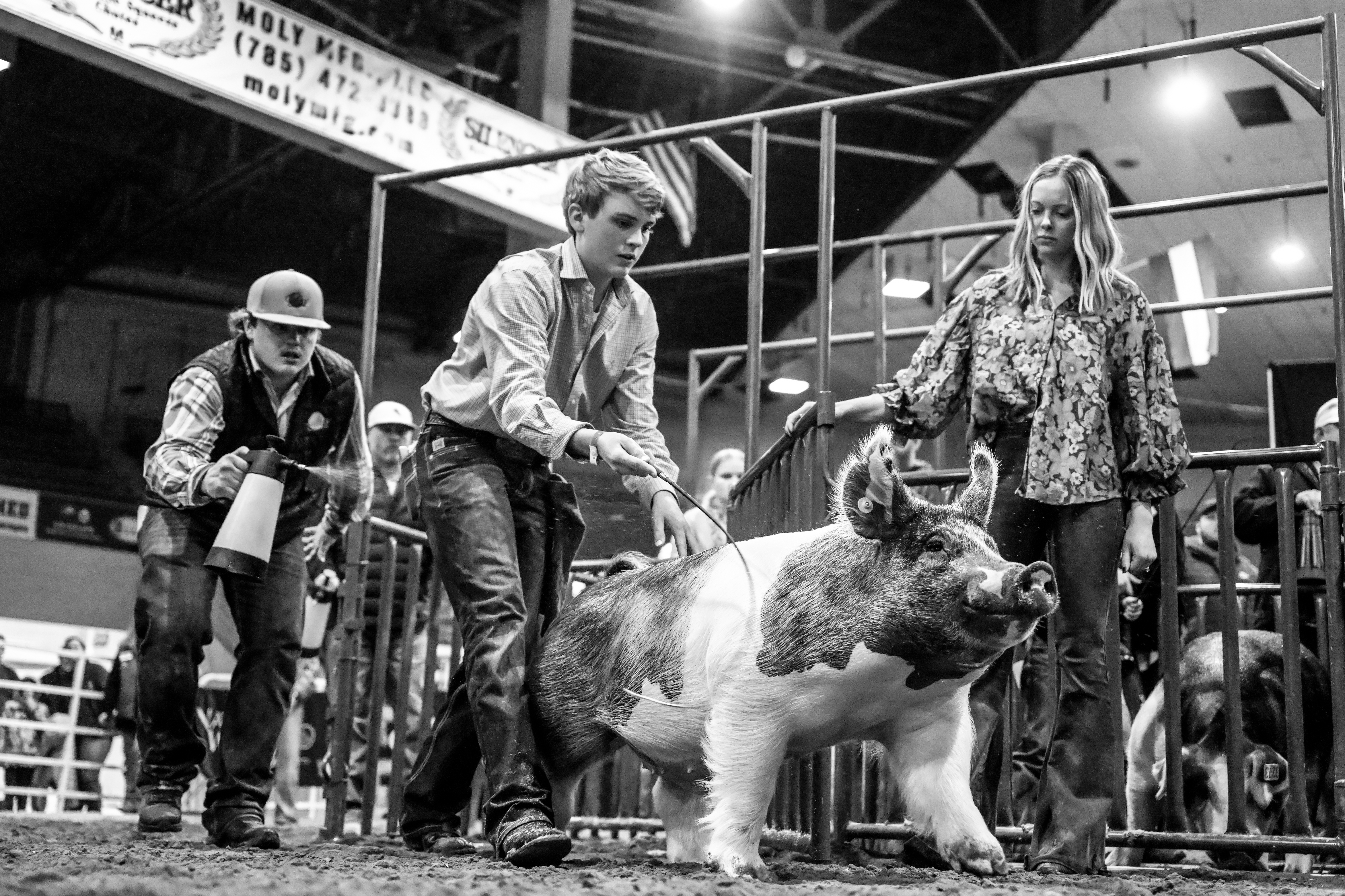 2024 NWSS Hog Show