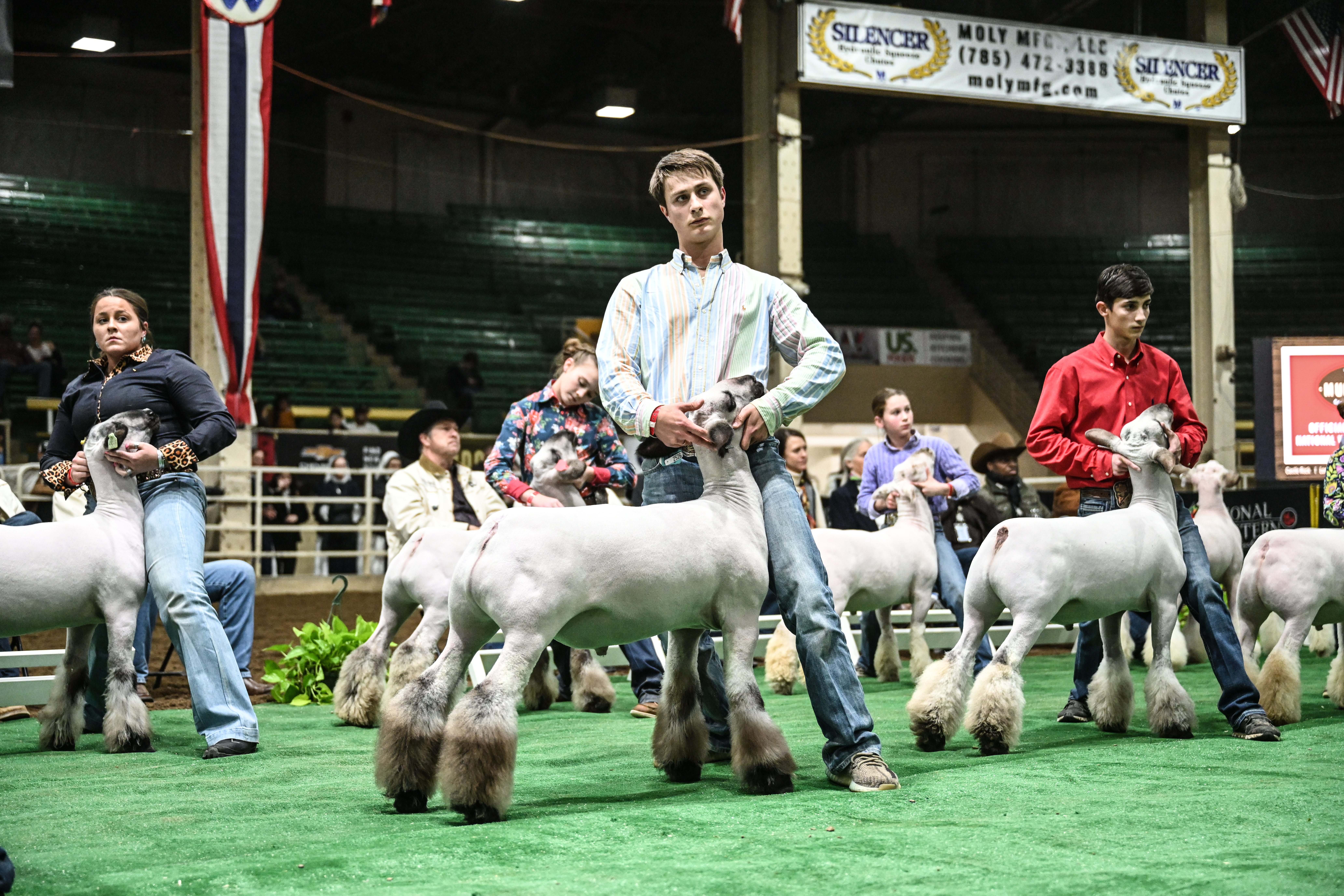 2023 NWSS Lamb Show