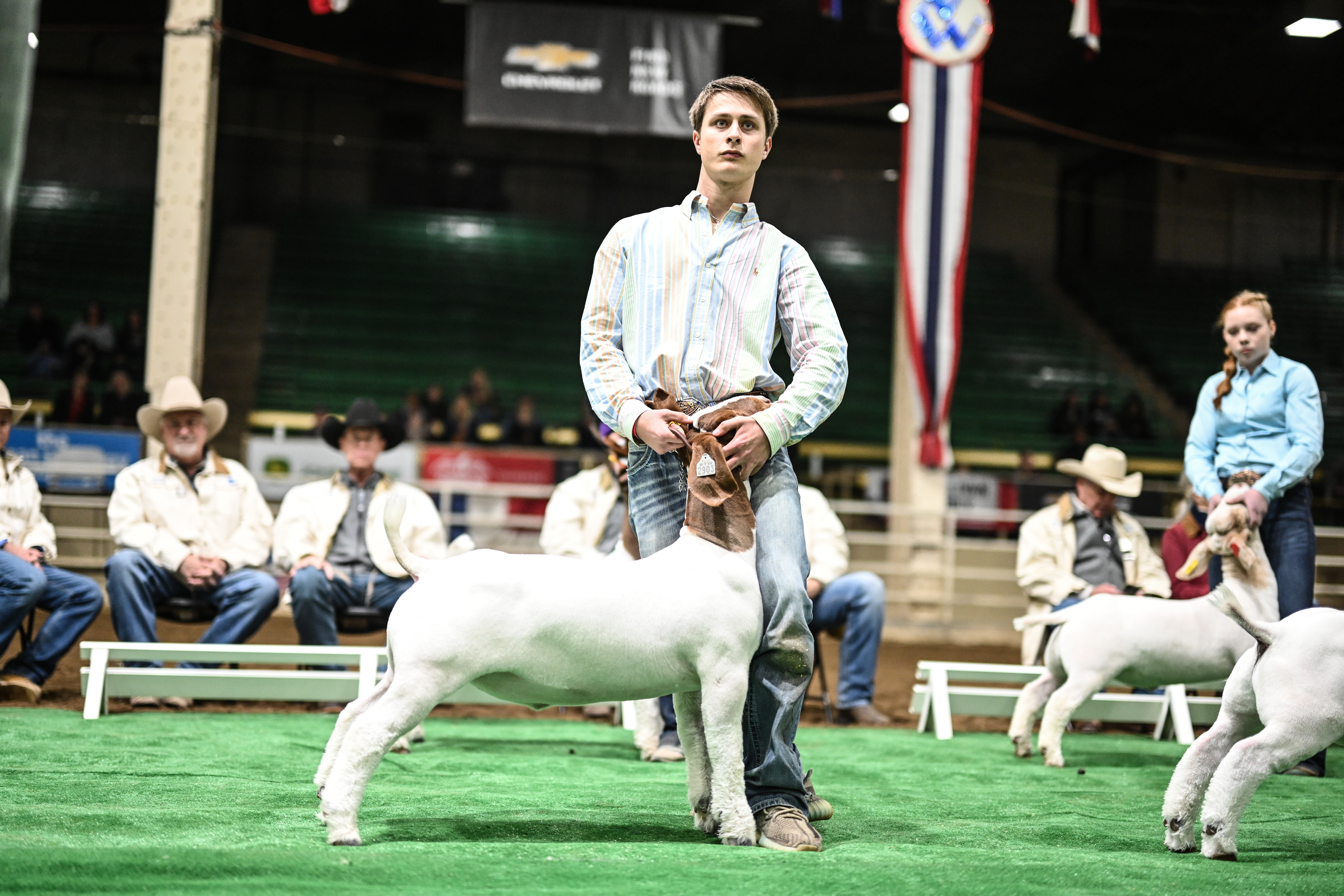 2023 NWSS Goat Show