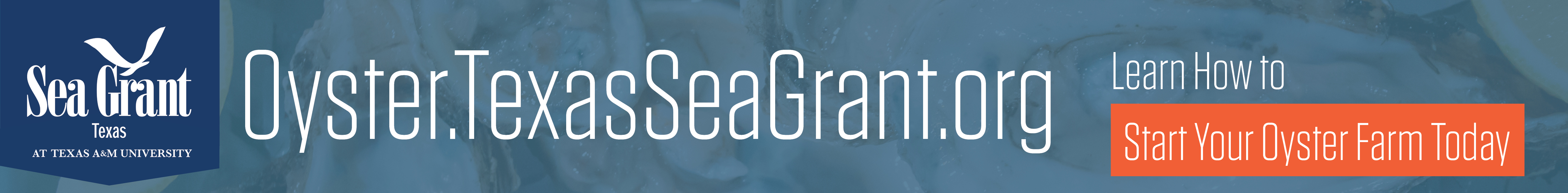 The Official Texas Saltwater Fishing Magazine Website