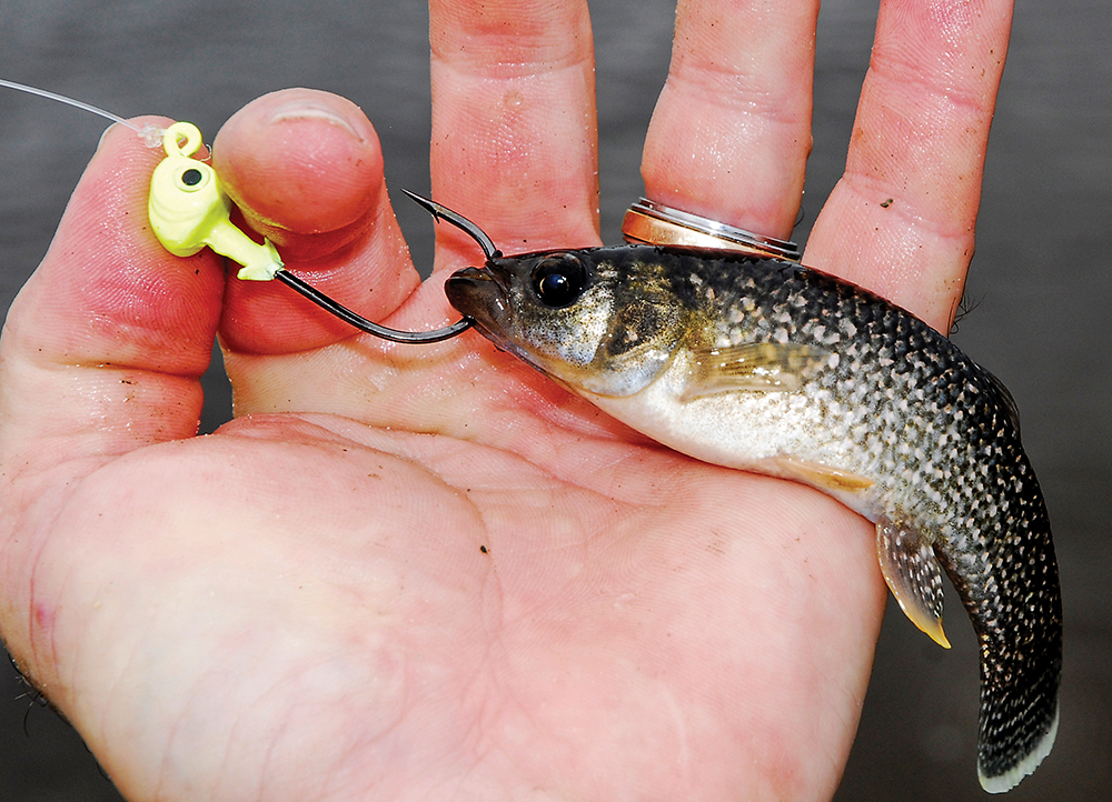 How To Throw A SMALL Cast Net - All About The Bait - Part 1 