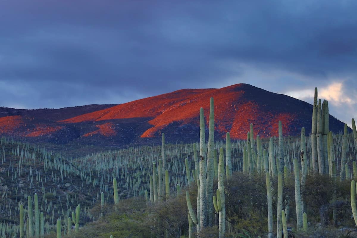 Destinos en México. Los mejores lugares para visitar.
