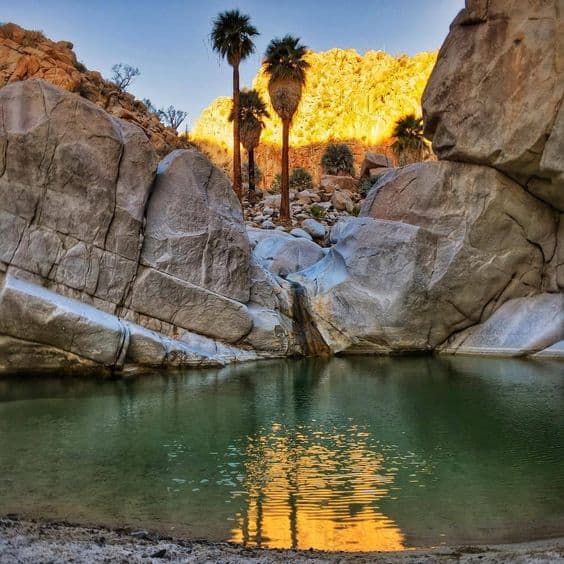 Cataviña: el Oasis en medio del desierto de Baja California - Busolinea