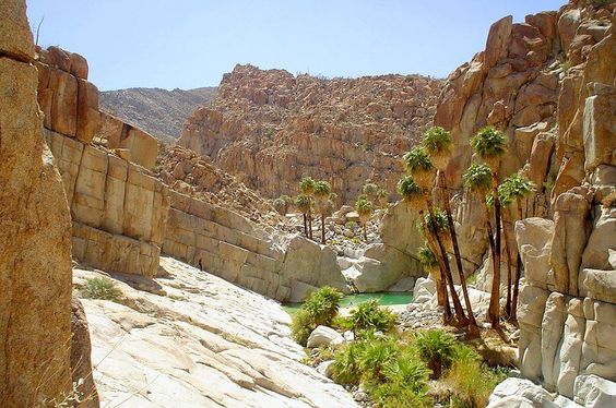 Cataviña: el Oasis en medio del desierto de Baja California - Busolinea