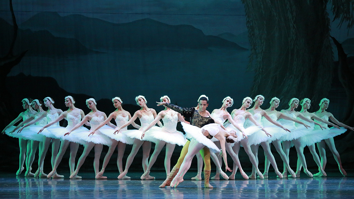 CANCELED: Swan Lake