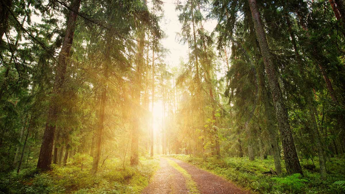 Religion Seminar Series: The Places That Move Us: Ecological Vocations