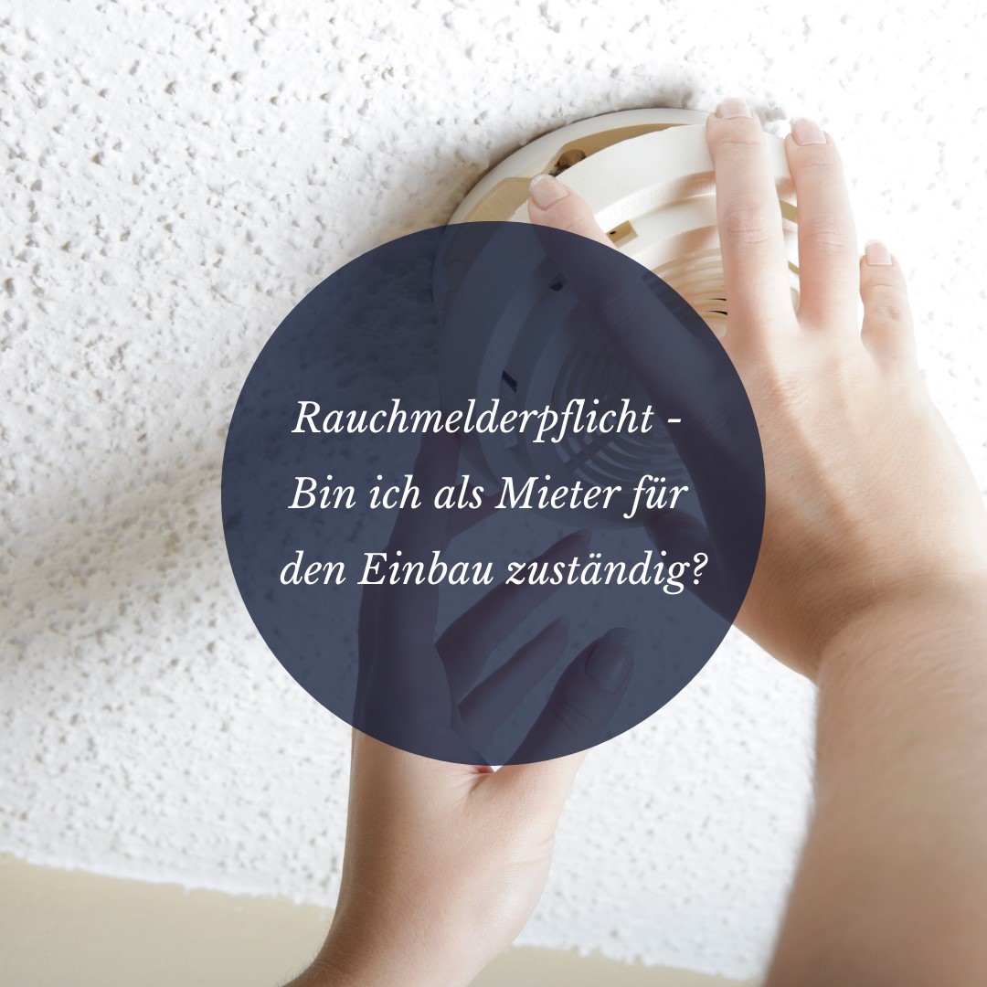 mietwohnung in leipzig 