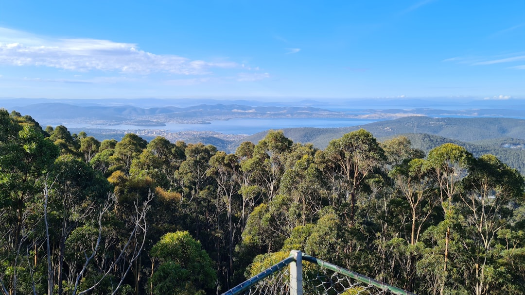 Preparing deeds for sale