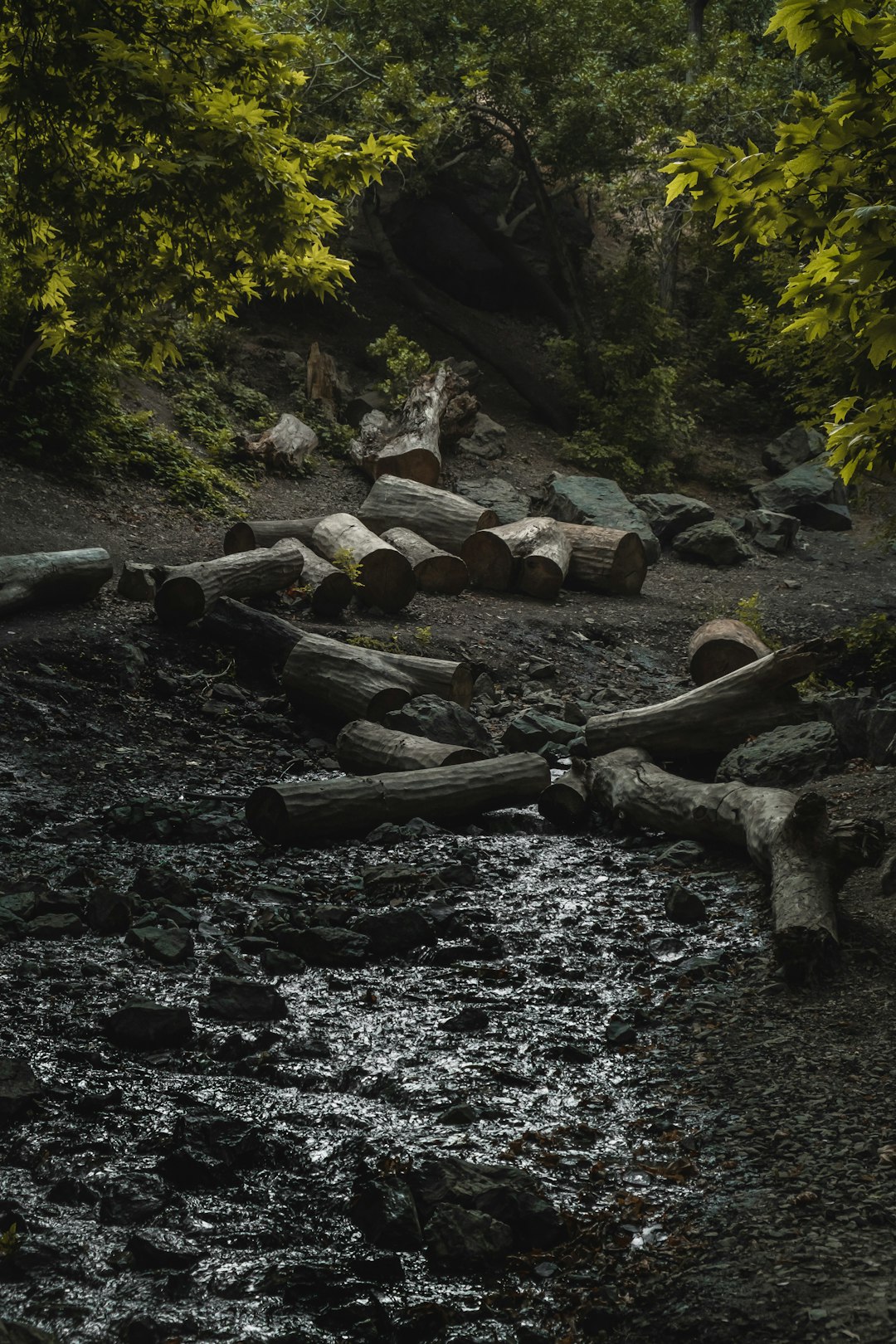 How to Get Leading Buck When Selling Your Arizona Land for Cash Money