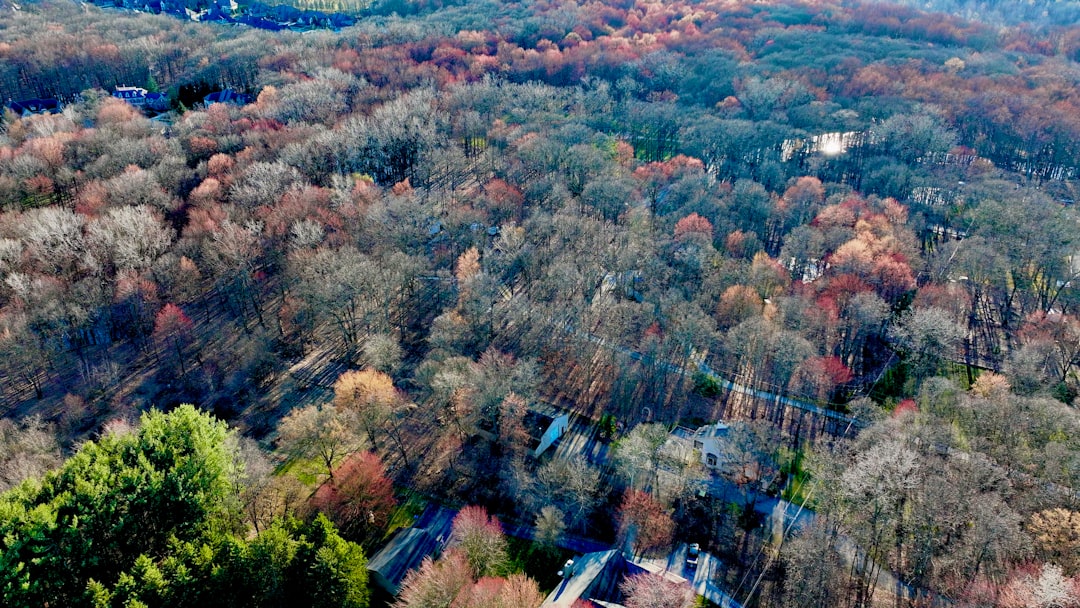 Rural vs urban land sales