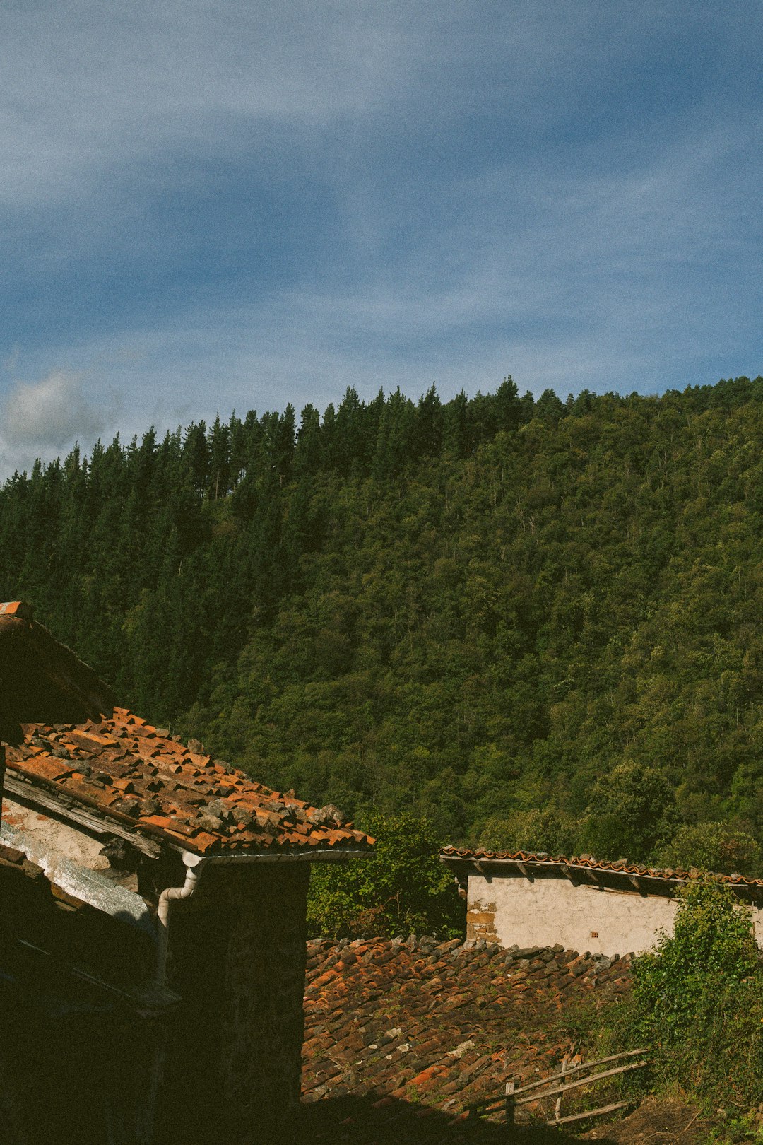 How to Shut the Sale of Your California Land and Receive Cash Money Settlement