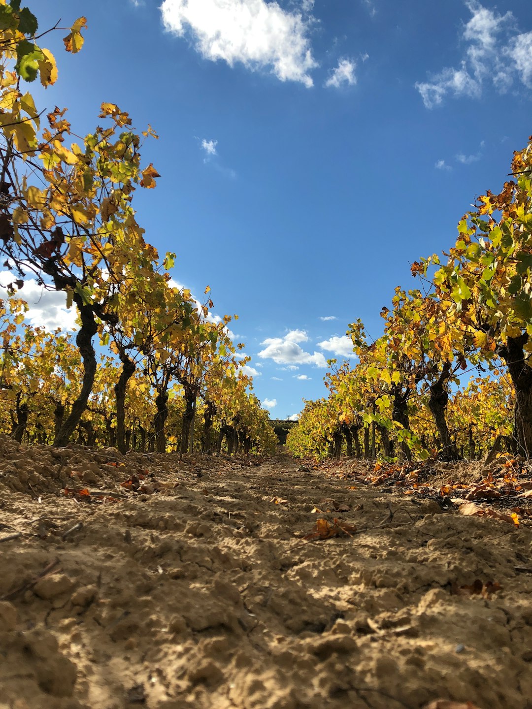 Aspects to think about when prices The golden state land available for sale