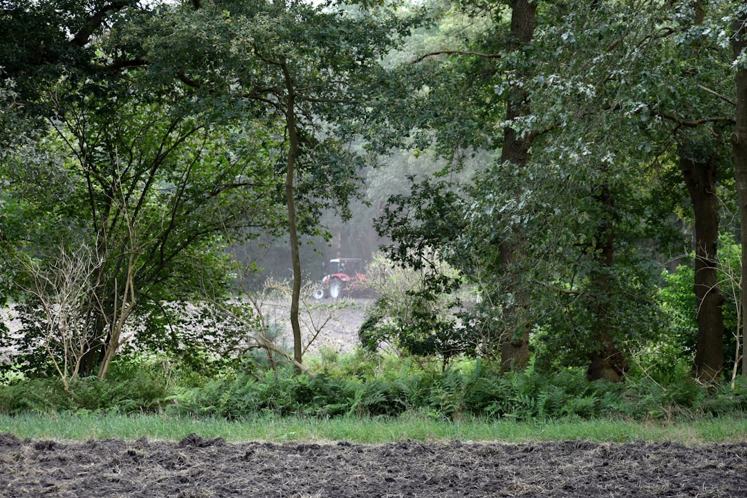 Tips for selling vacant land in Kansas