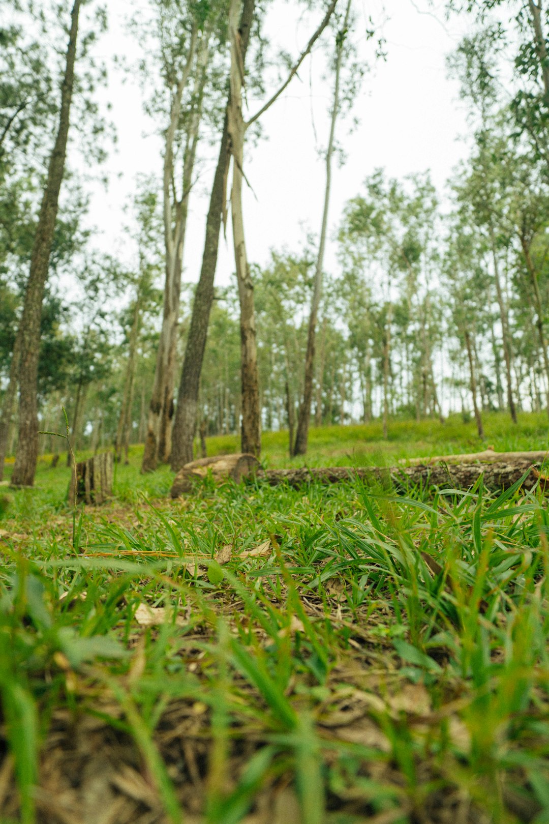 Preparing Your Industrial Land offer for sale