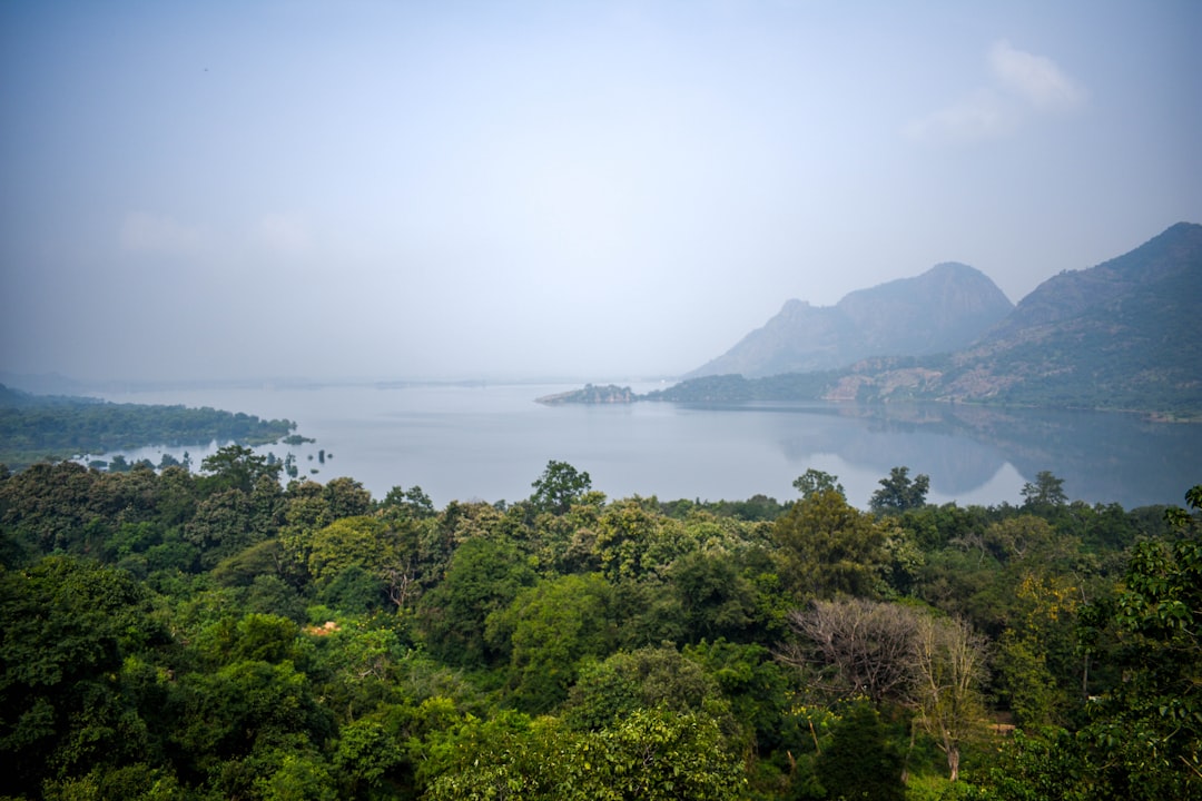 Factors affecting land value in Illinois