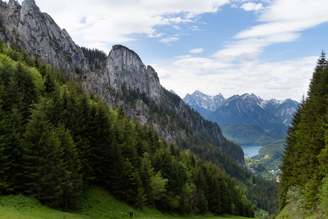 Pricing land for sale in Illinois