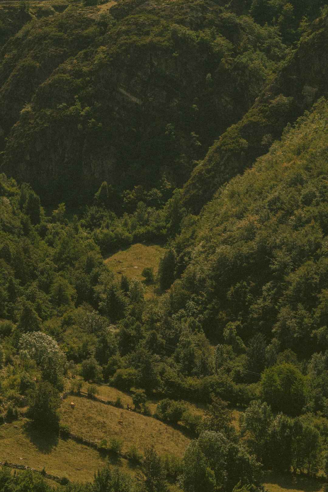 What is the procedure for offering Alaska land for cash money?