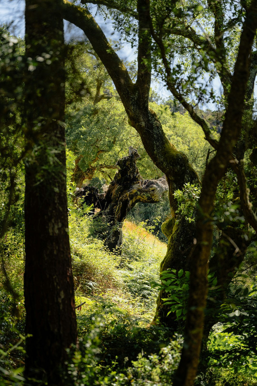 What is the existing worth of Alaska land to buy?