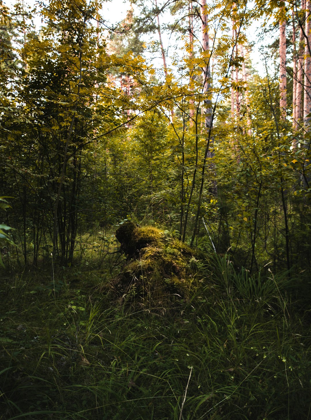 Steps to Prepare Your Utah Land for an Effective Cash Money Sale