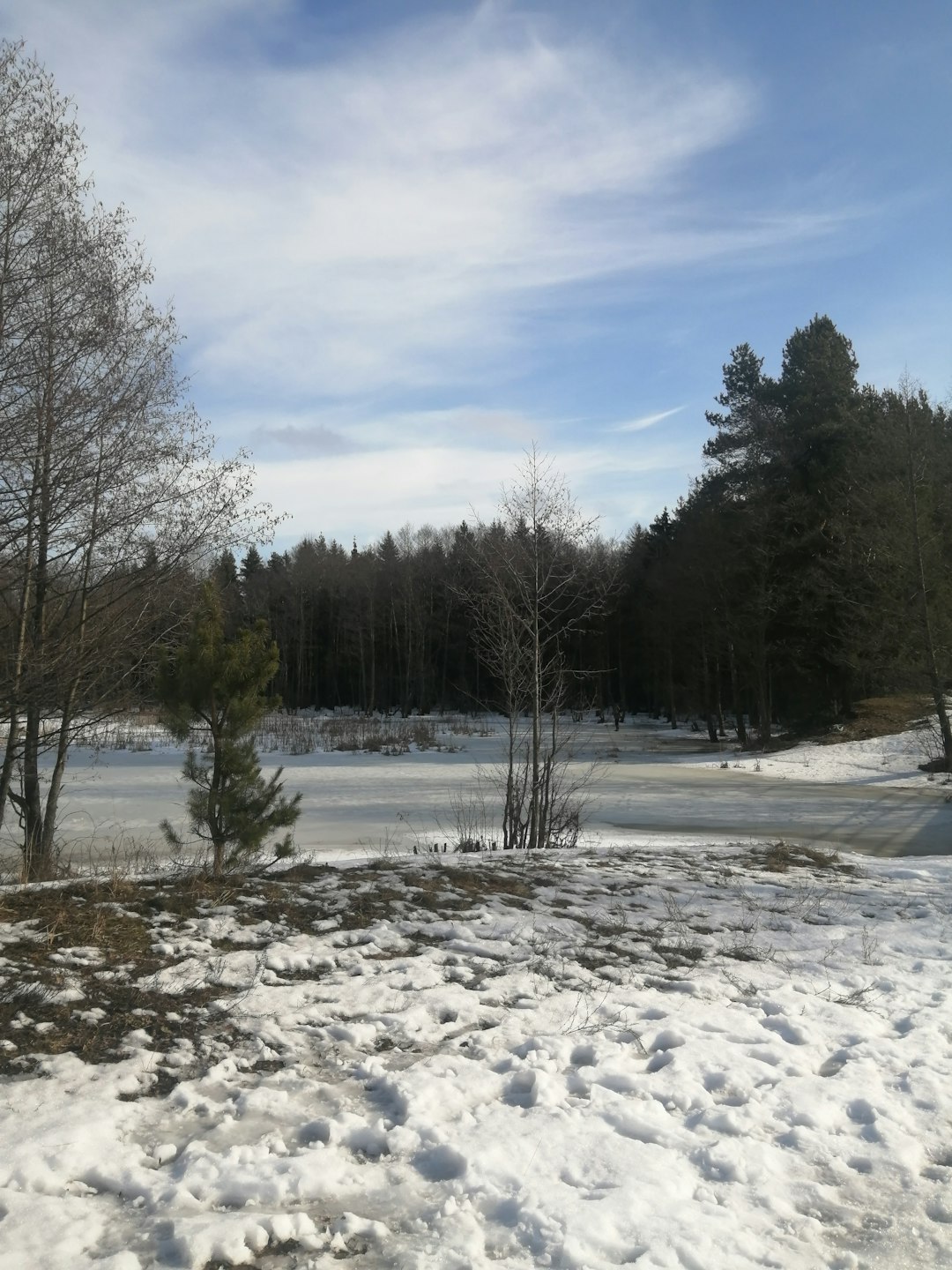 Usual Mistakes to Prevent When Selling Iowa Land for Cash Money