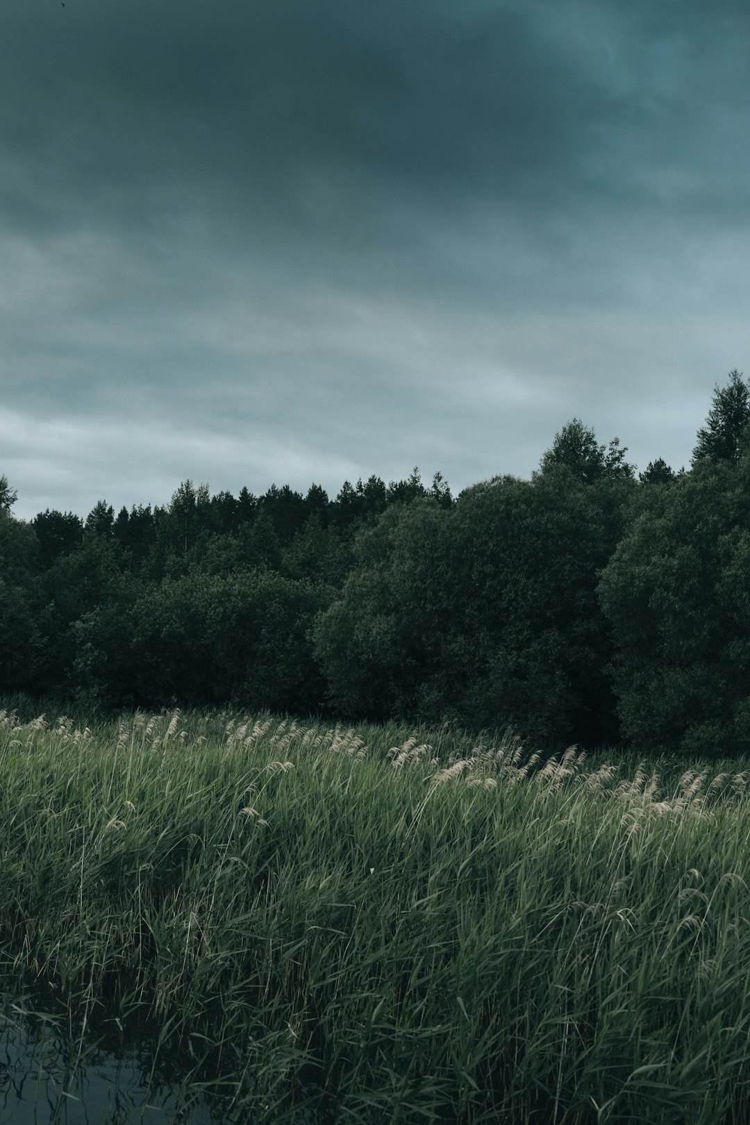 What is the prospective profit from offering Montana land quickly?