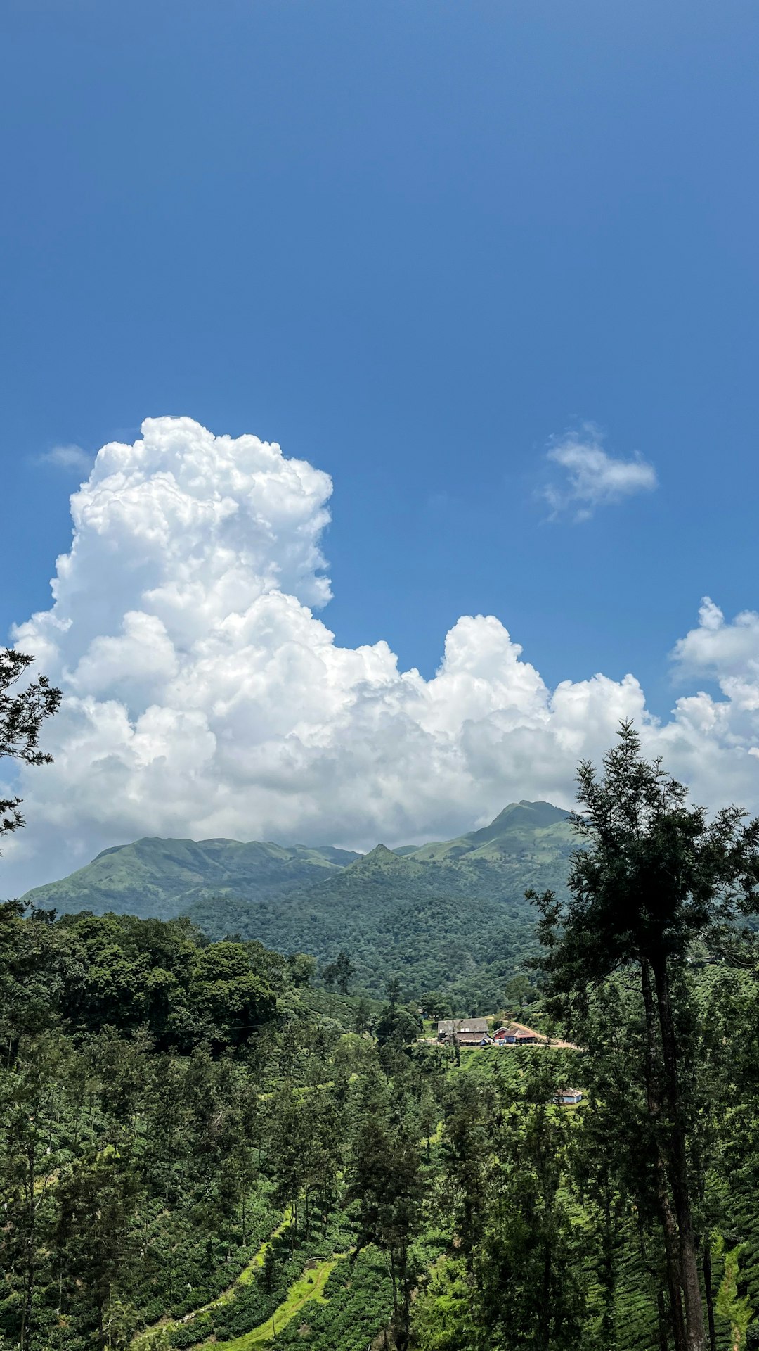 How to browse the procedure of offering North Carolina land for cash