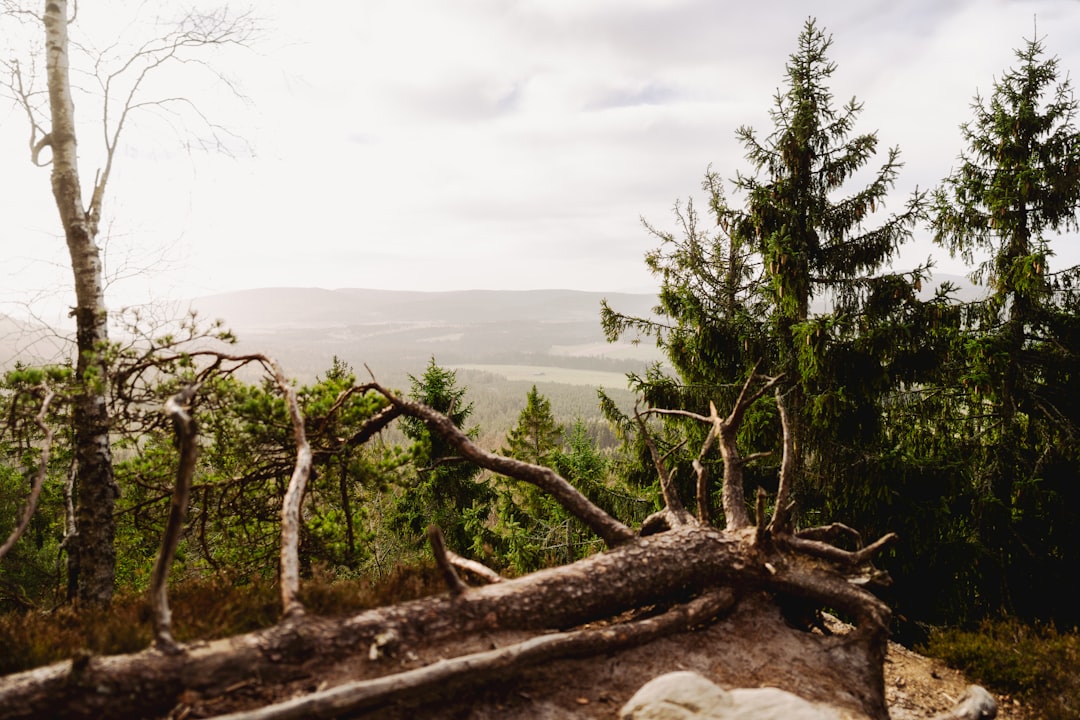 After the Sale: Taking Care Of Financial Resources and Future Investments