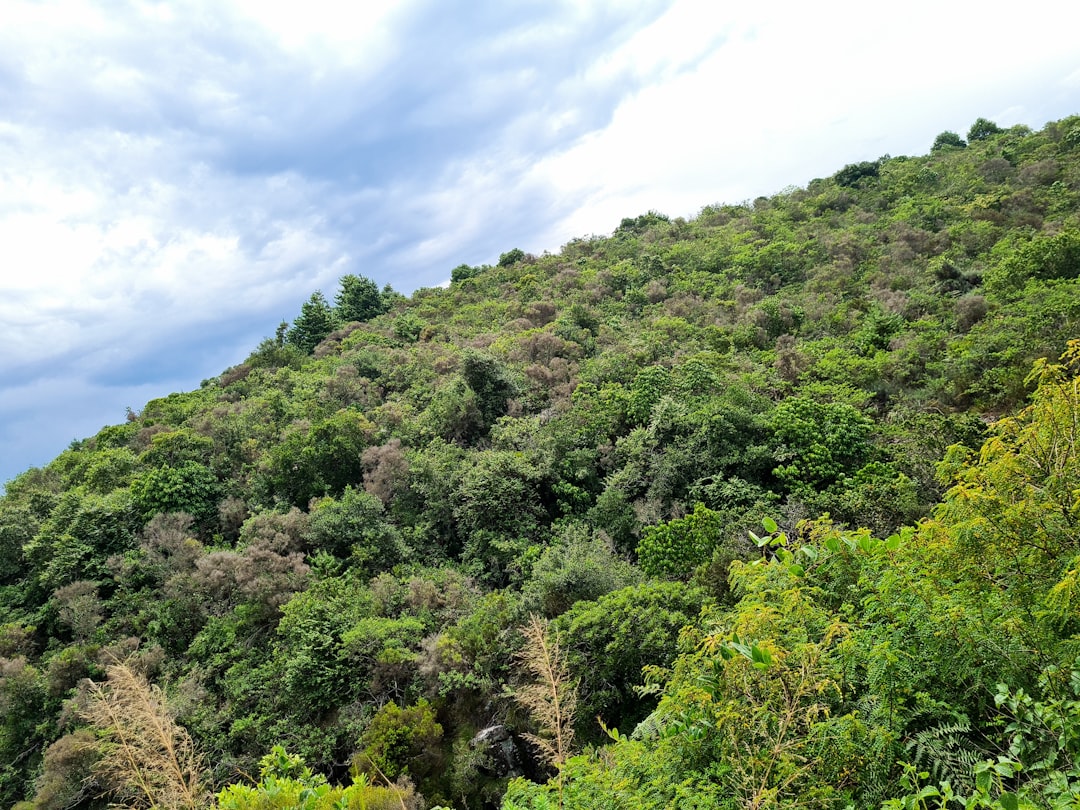 After the Sale: Managing Funds and Future Investments