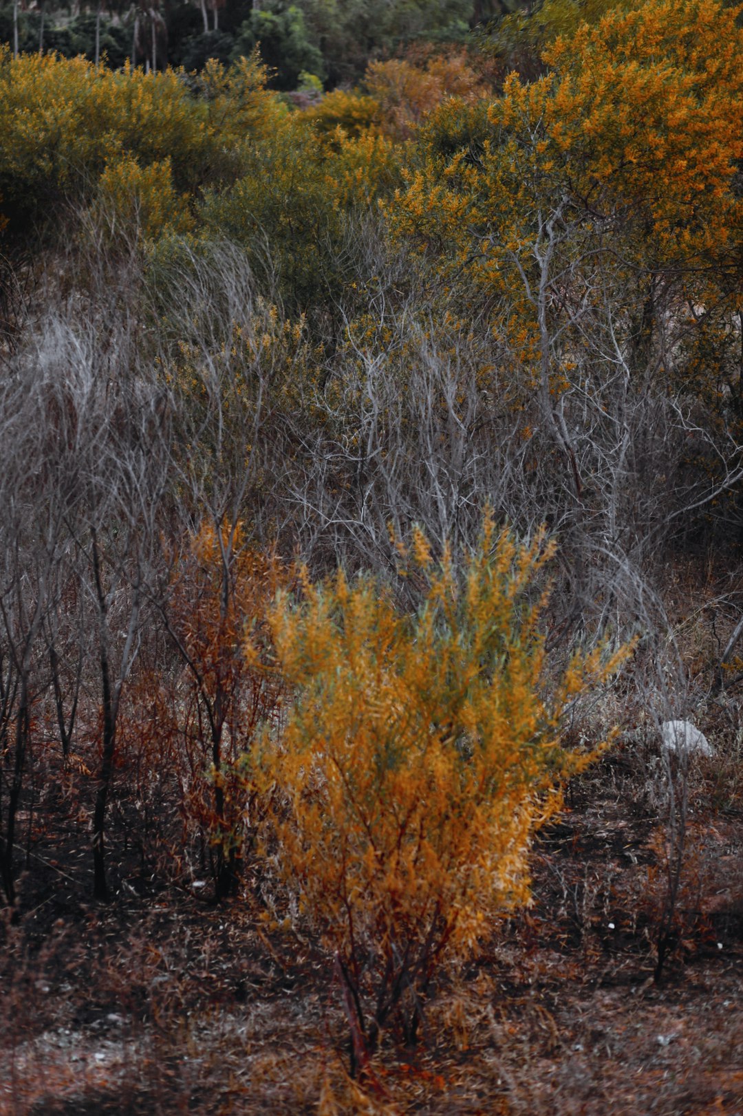 What to Know Before Selling Land to a Money Customer