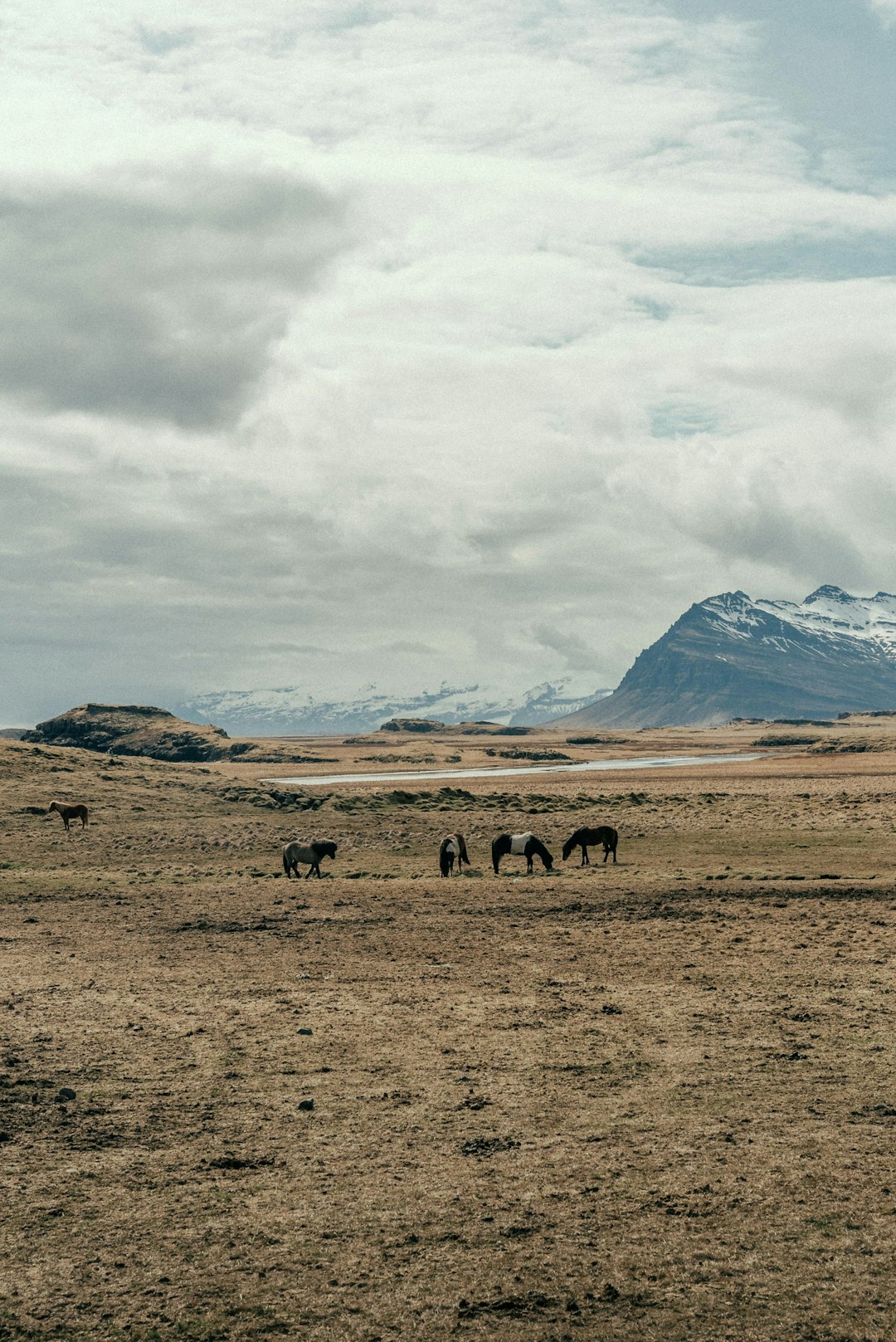 Wanting to Offer Your Georgia Land? Get Rapid Cash Money Currently!