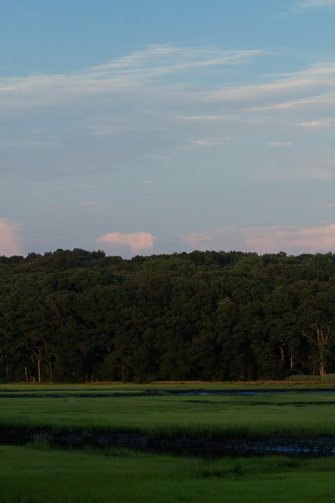 Searching For Trustworthy Cash Customers for Missouri Land