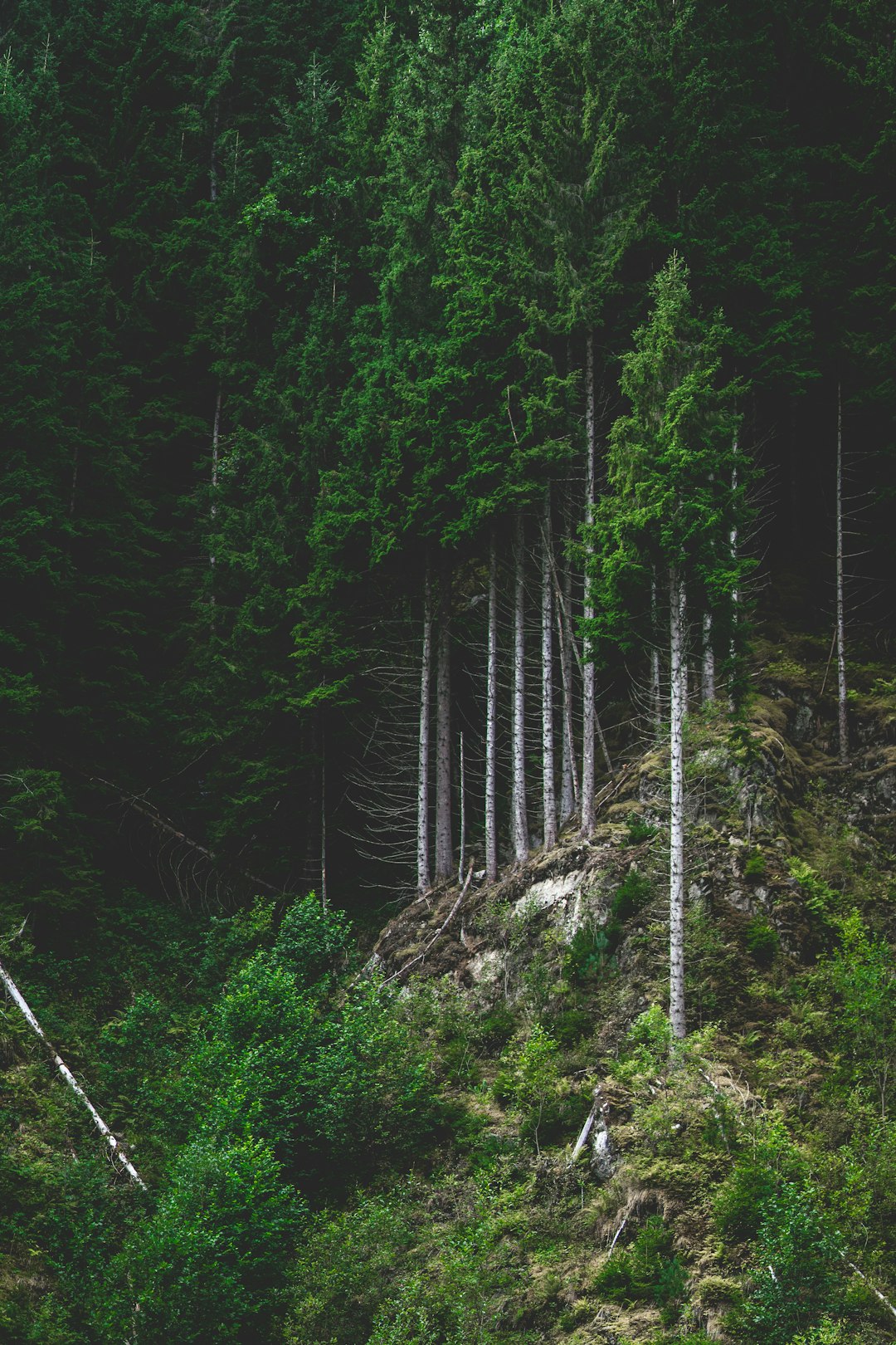 What are the legal factors to consider when marketing Virginia land for cash?