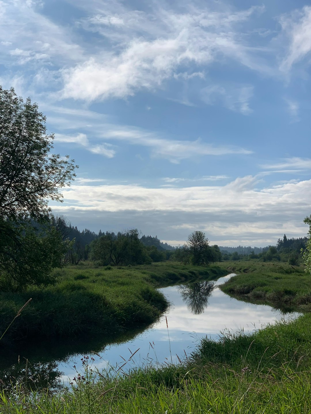 Negotiating Deals to Seal the Deal Quick