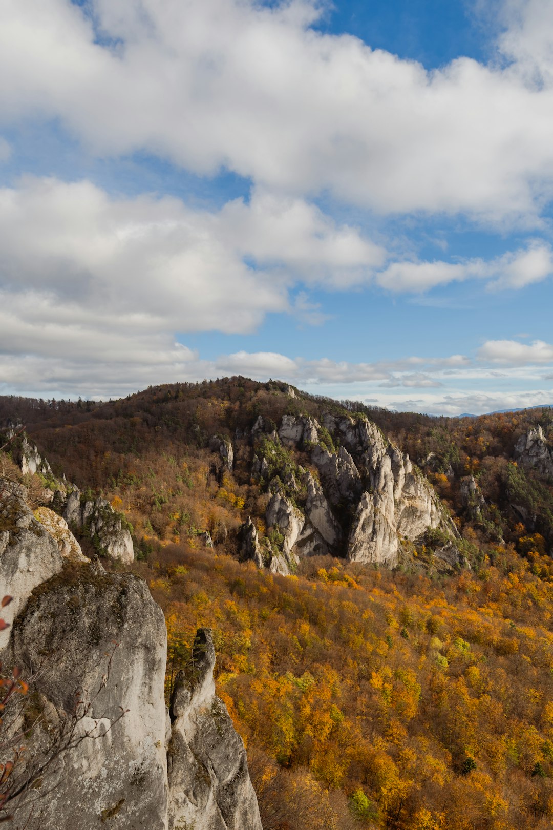 How to Find Purchasers Interested in Getting Wisconsin Land