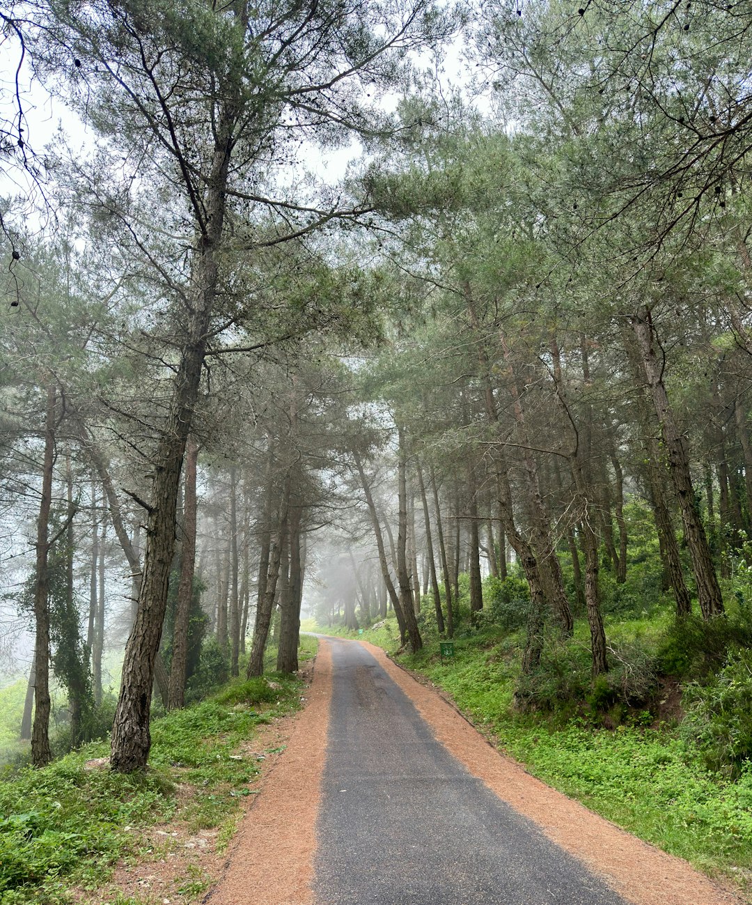 What is the procedure for selling West Virginia land for cash?