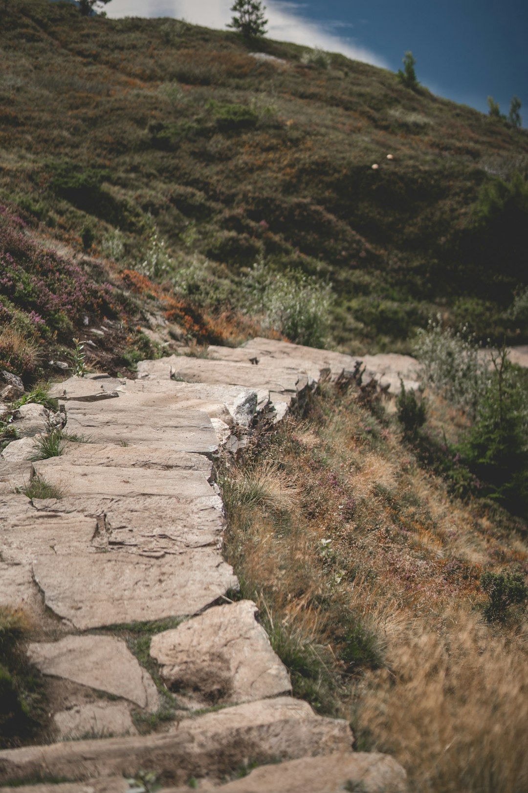 How to Browse the Legal Refine of Marketing Land in North Dakota