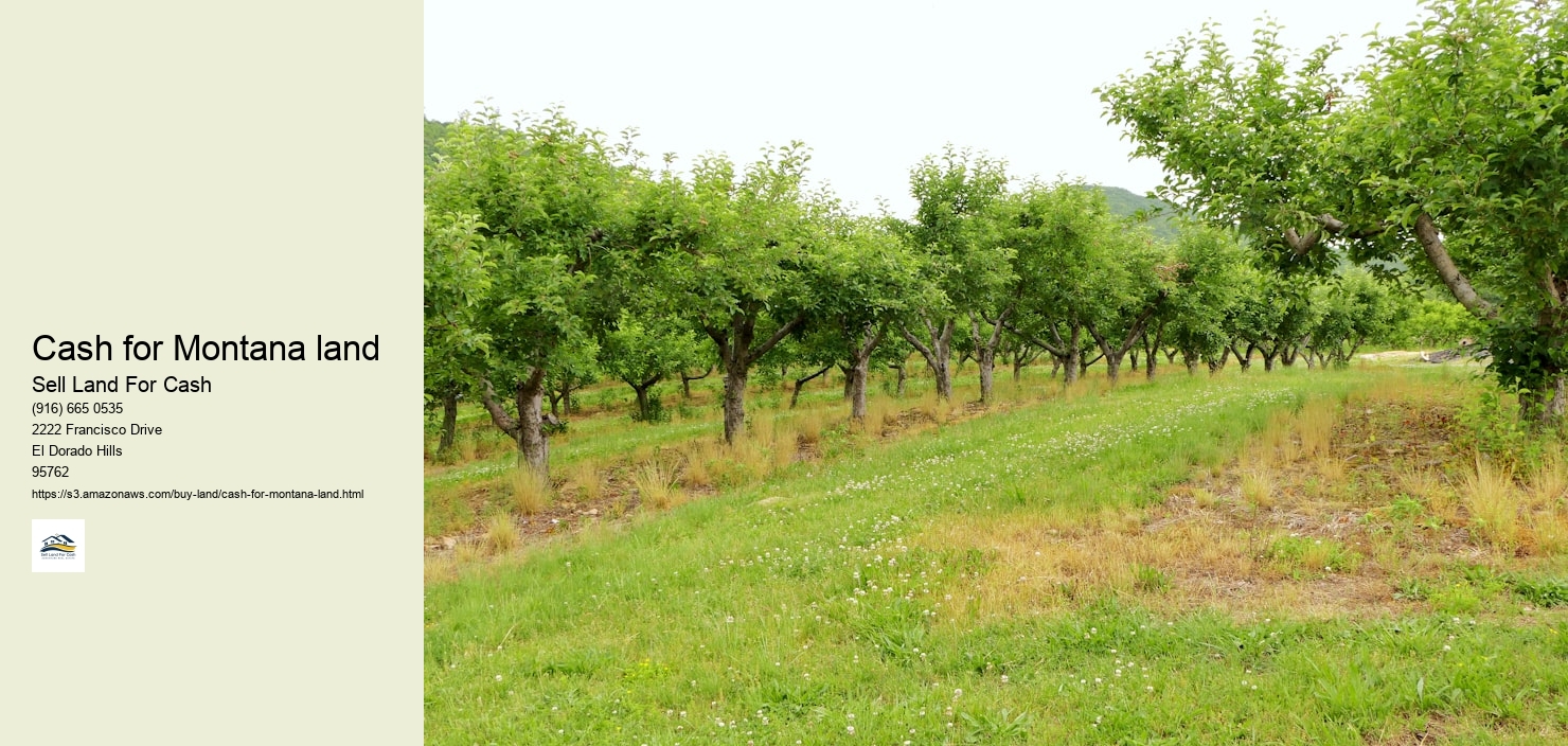 Cash for Montana land