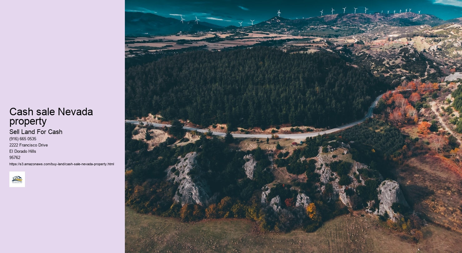 Cash sale Nevada property