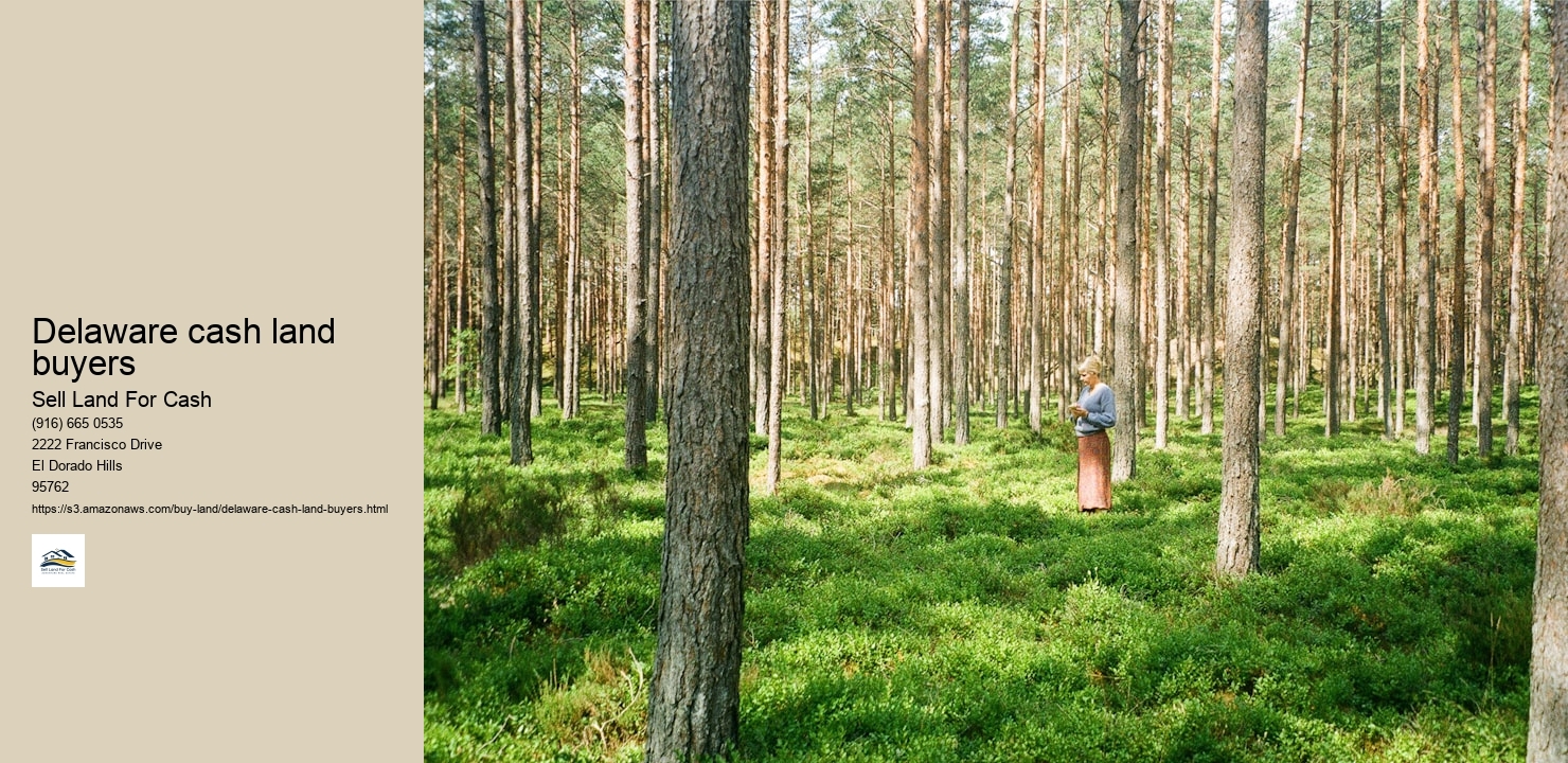 Delaware cash land buyers